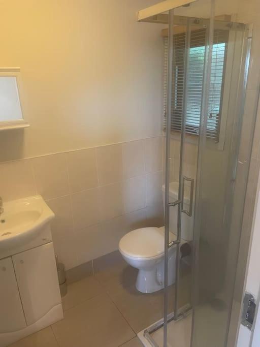 Self Catering Apartment At Beechwalk House. Enniskerry Zewnętrze zdjęcie