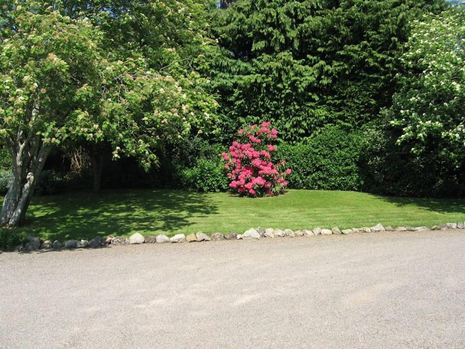 Self Catering Apartment At Beechwalk House. Enniskerry Zewnętrze zdjęcie